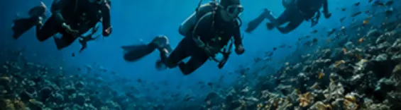 Three divers swimming together over a reef