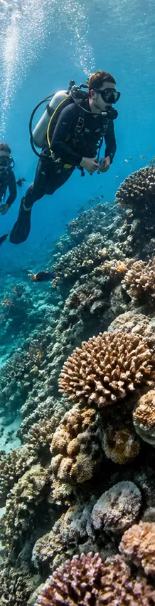 Divers descending beside a coral wall